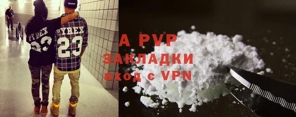 стаф Абаза