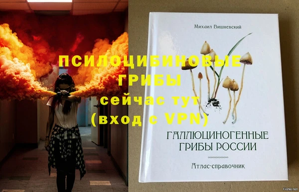 дмт Алексеевка