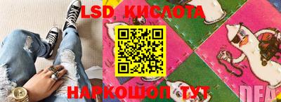 PSILOCYBIN Нальчик