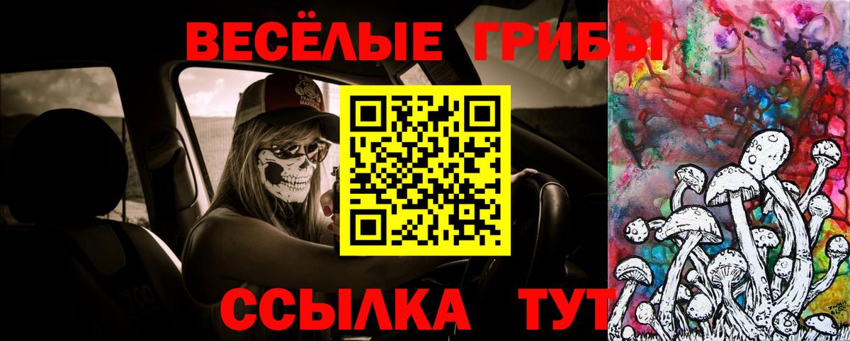 Псилоцибиновые грибы Psilocybine cubensis  Вход с VPN  Фурманов 